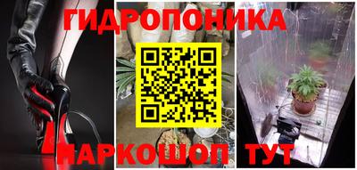 ГАЛЛЮЦИНОГЕННЫЕ ГРИБЫ Балахна