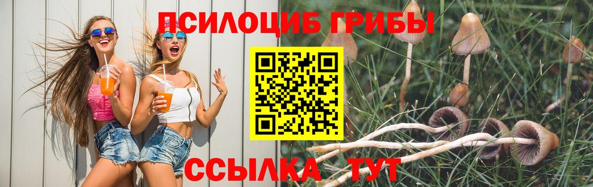 Псилоцибиновые грибы Psilocybine cubensis  Псилоцибиновые грибы ЛСД  Вход с VPN  Ивантеевка 